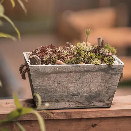 Kronenburger Alm * 크로넨버그