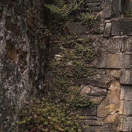 Kronenburger Alm Отель *