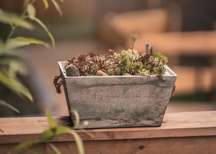 Kronenburger Alm * Dahlem (Euskirchen)